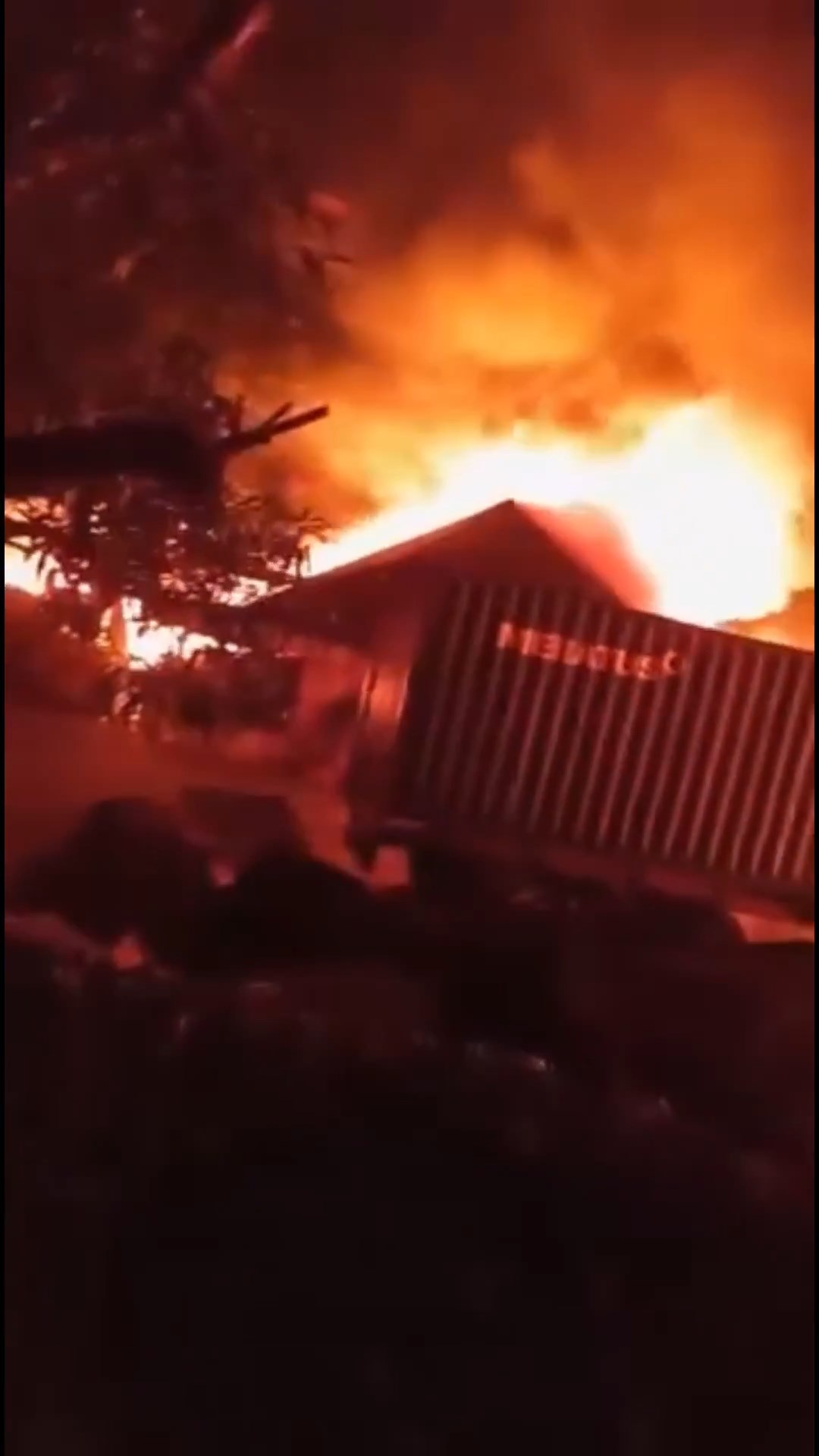 E N D O N E Z Y A D A F A B R I K A Y A N G I N I 1137785 337787