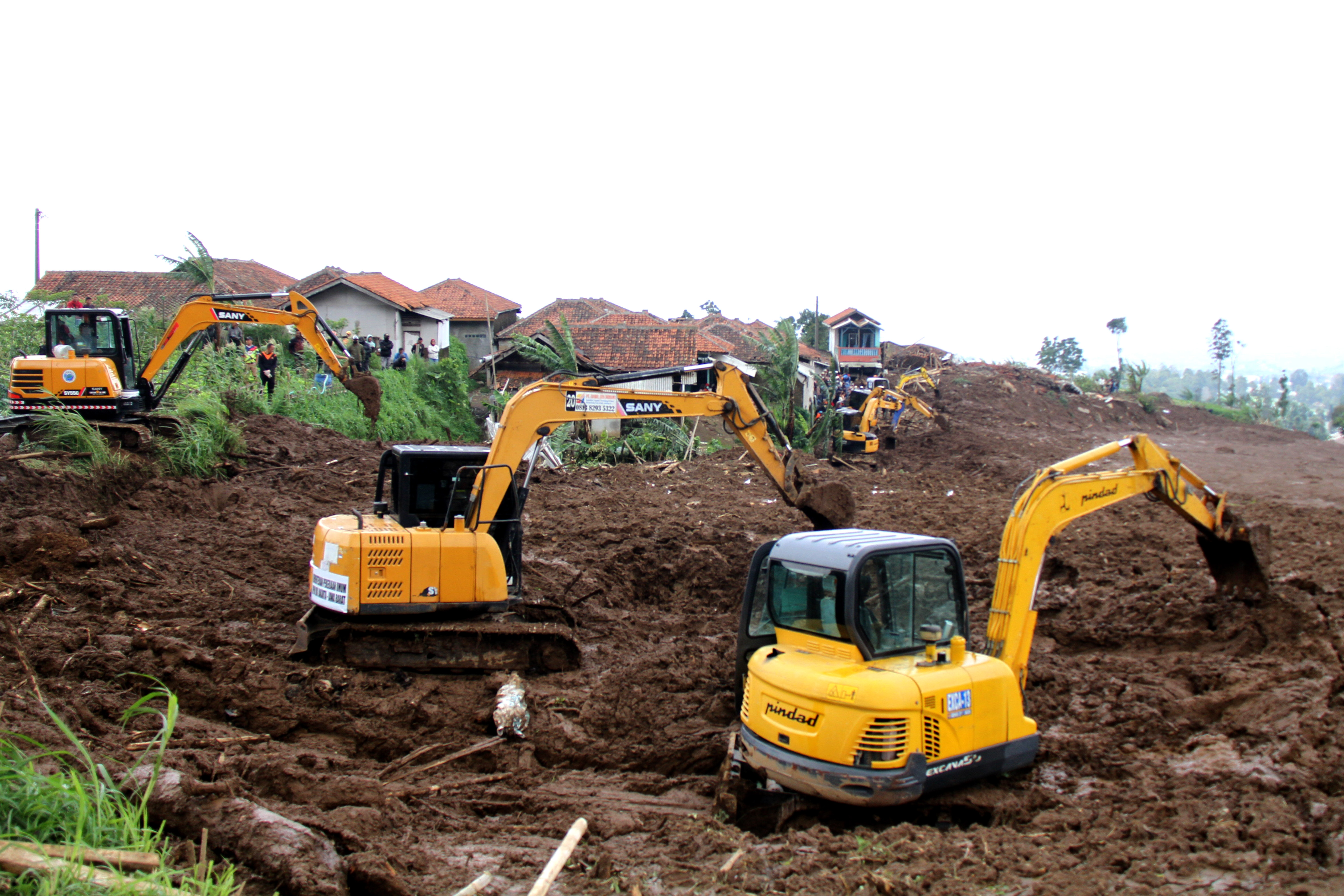 E N D O N E Z Y A D A T O P R A K K A Y M A S I N D A H A Y A T I N I 1134691 336857