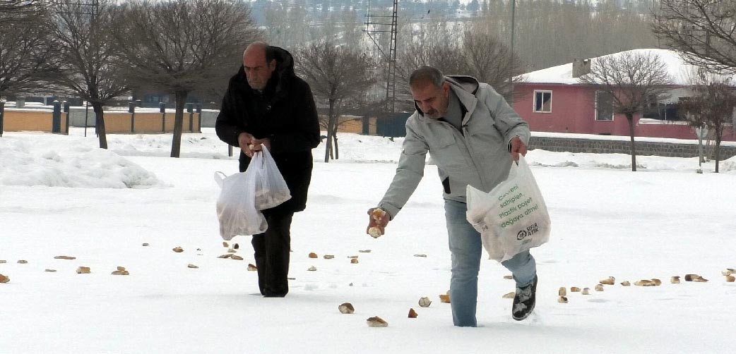 E R C I S L I F I R I N C I S O K A K H A Y V A N L A R I V E K U S 1110654 329682