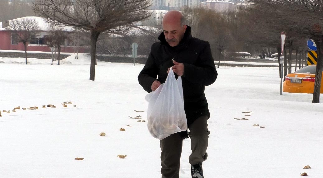 E R C I S L I F I R I N C I S O K A K H A Y V A N L A R I V E K U S 1110655 329682