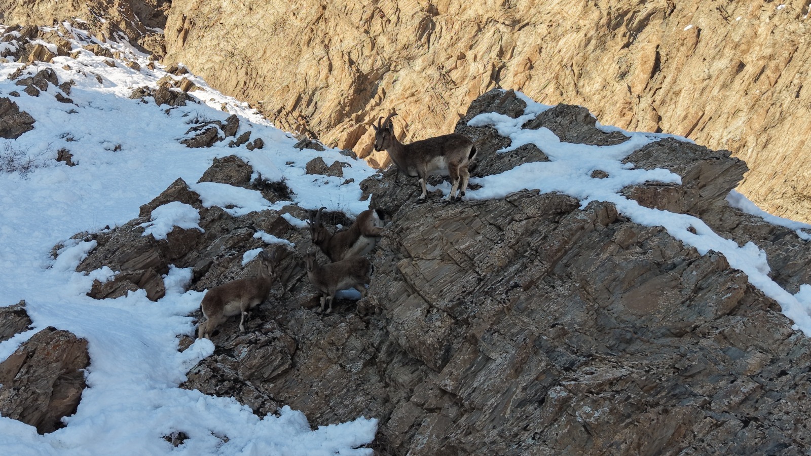 H A K K A R I D E A C K A L A N Y A B A N K E C I L E R I Y O L 1098409 326035