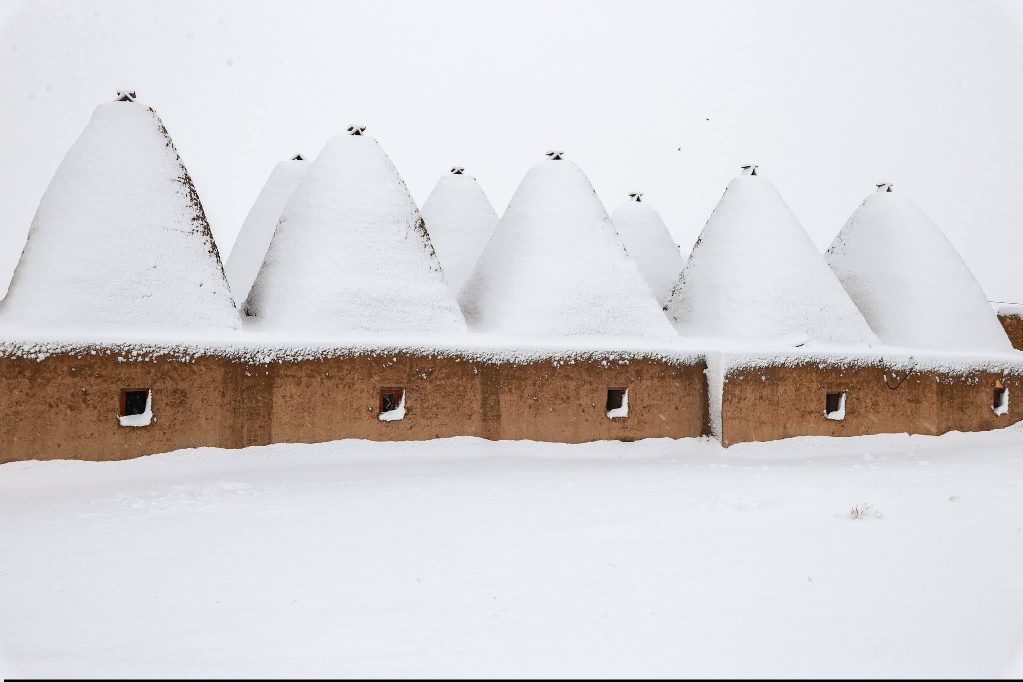 H A R R A N I N K O N I K K U B B E L I E V L E R I N D E K A R M A 1092346 323779