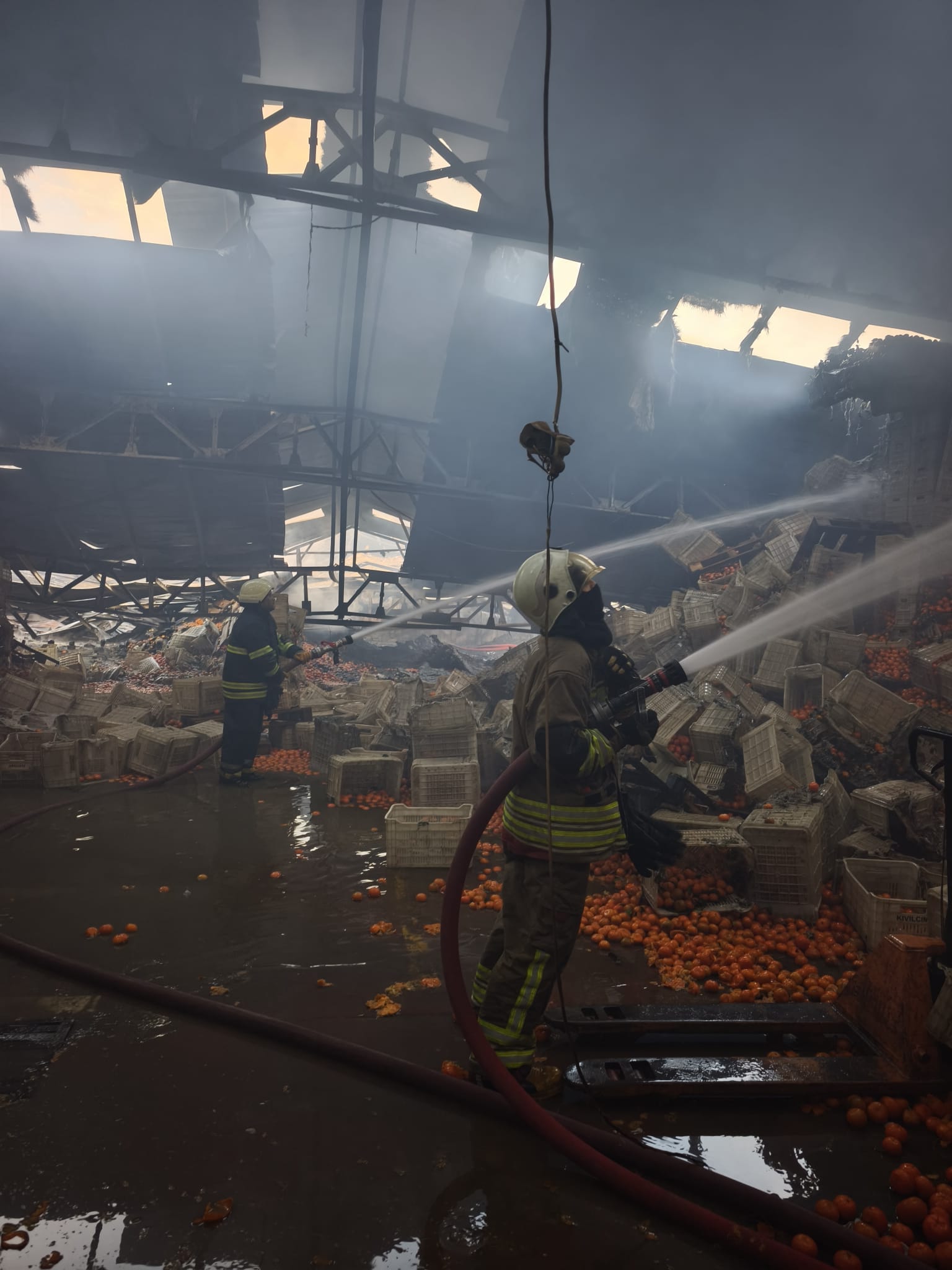 H A T A Y D A P A K E T L E M E T E S I S I N D E Y A N G I N 1 I 1099893 326523