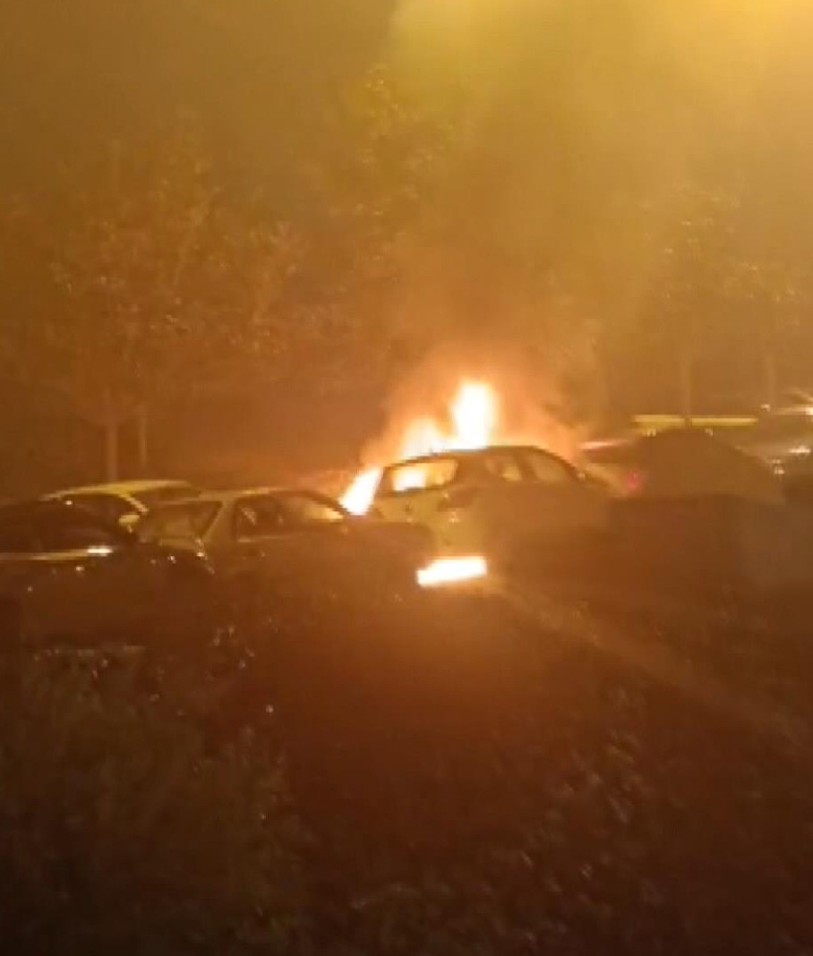 I S T A N B U L B E S I K T A S T A P A R K H A L I N D E K I 4 1134470 336782