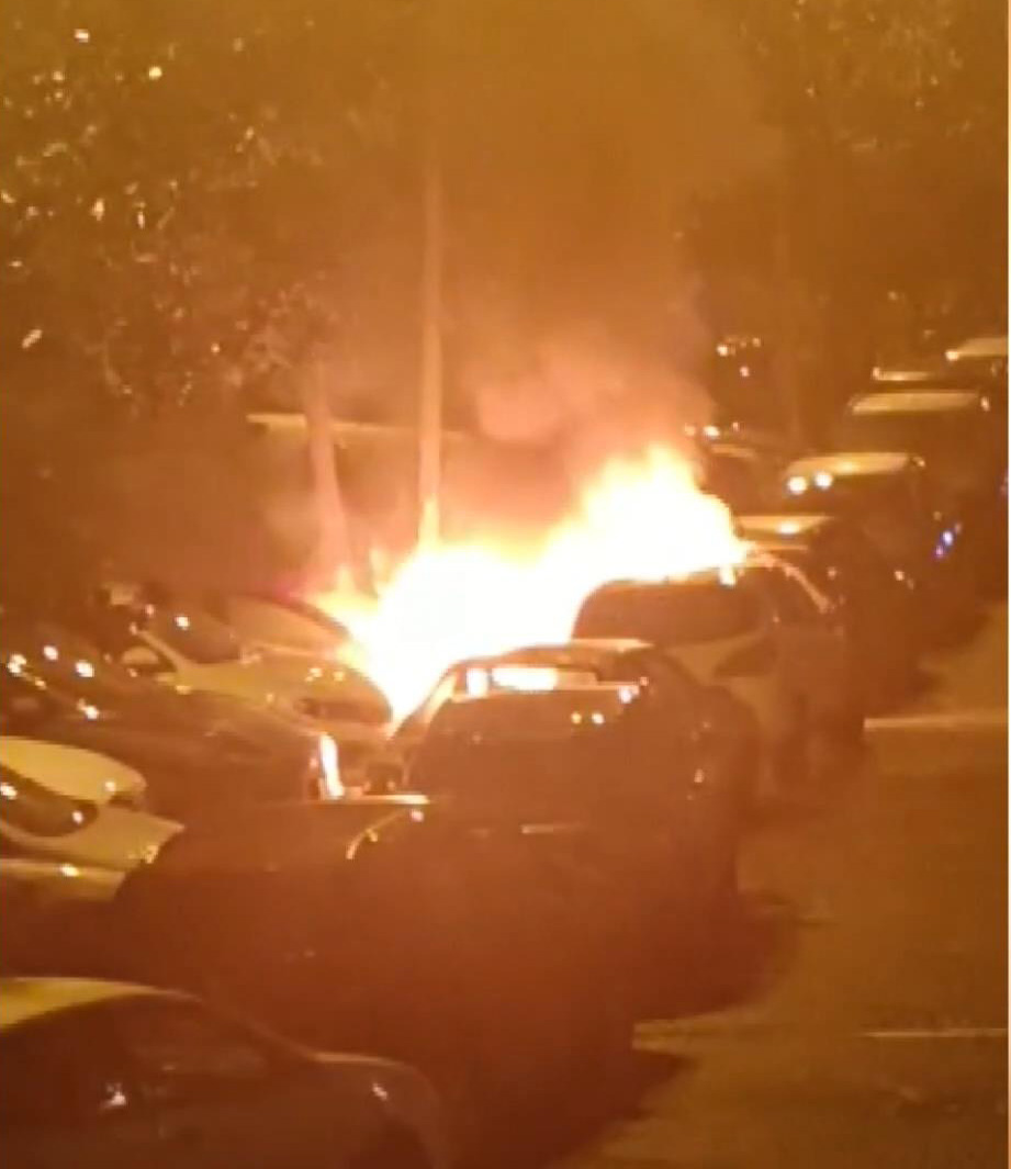 I S T A N B U L B E S I K T A S T A P A R K H A L I N D E K I 4 1134471 336782