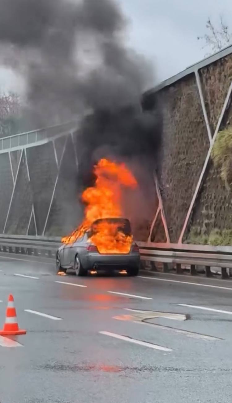 I S T A N B U L F A T I H’ T E A L E V A L E V Y A N A N O T O M O 1109715 329424