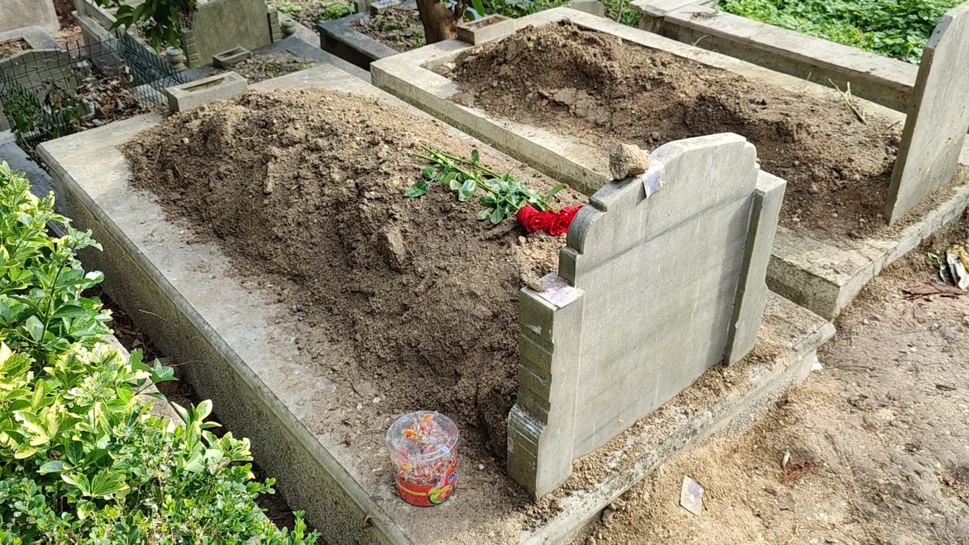 I S T A N B U L G U N G O R E N D E 17 Y A S I N D A K I A T L A 1123523 333416