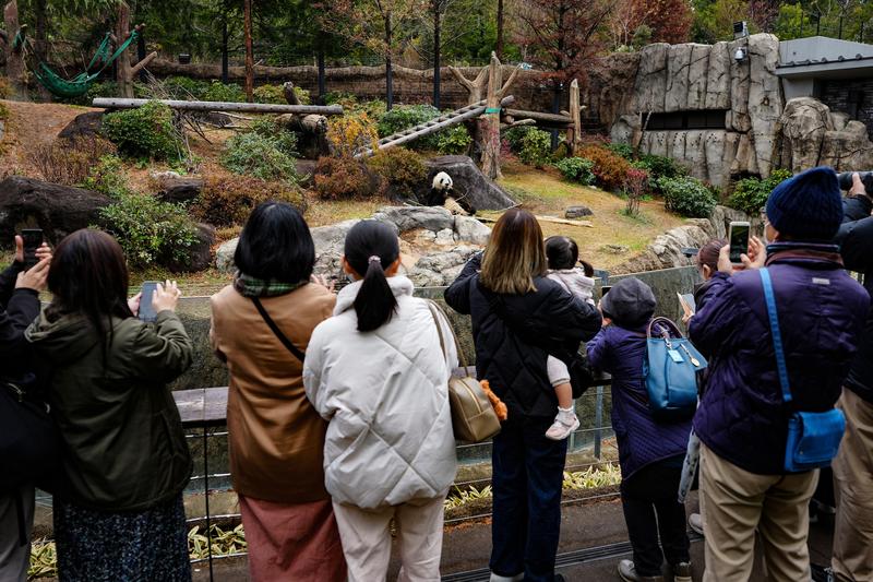 J A P O N Y A I K I D E V P A N D A Y I C I N E G E R I Y O L L 1135024 336942