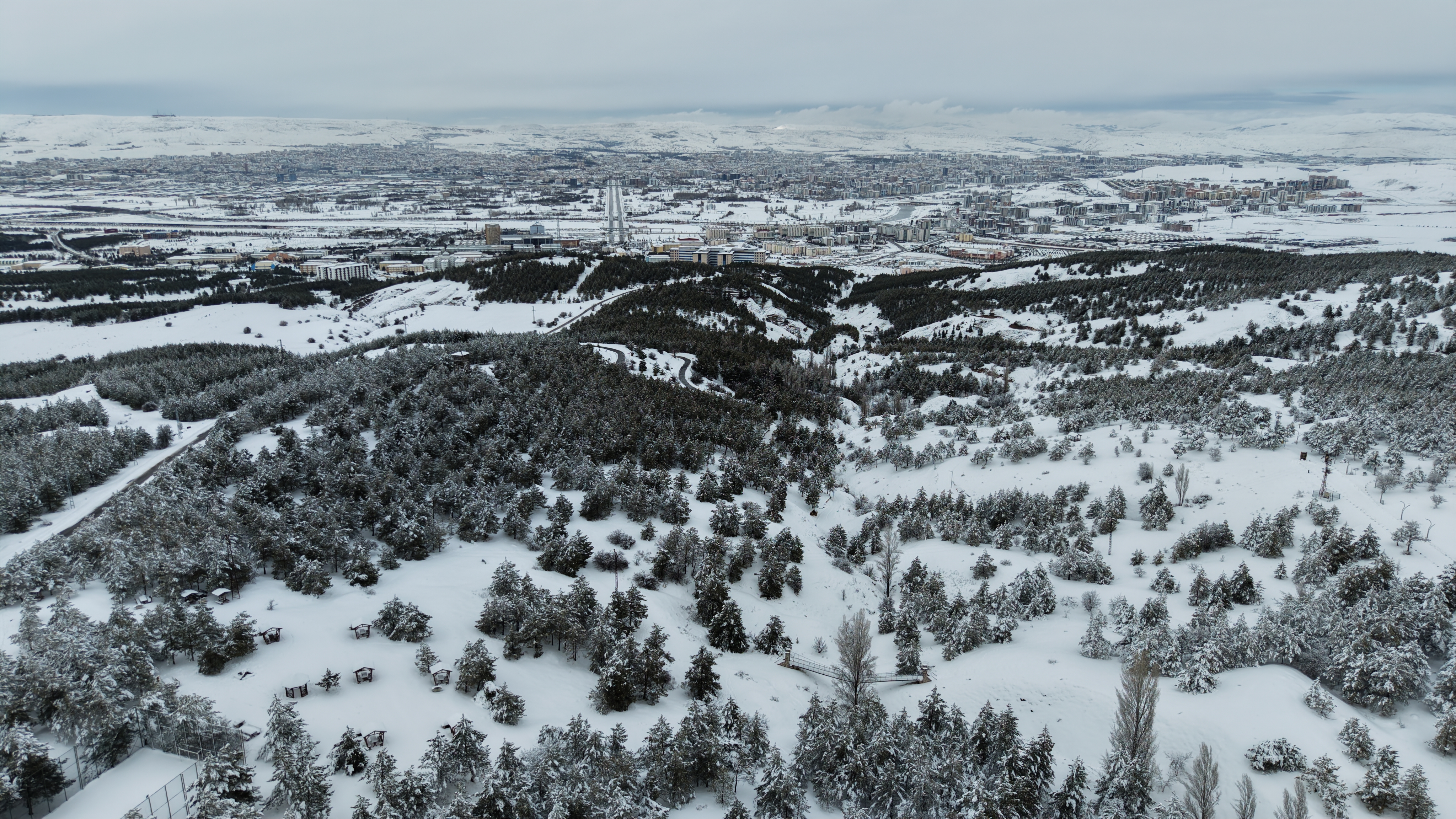 K A R D E S L E R O R M A N I N D A N K A R L I S I V A S M A N Z 1107452 328799