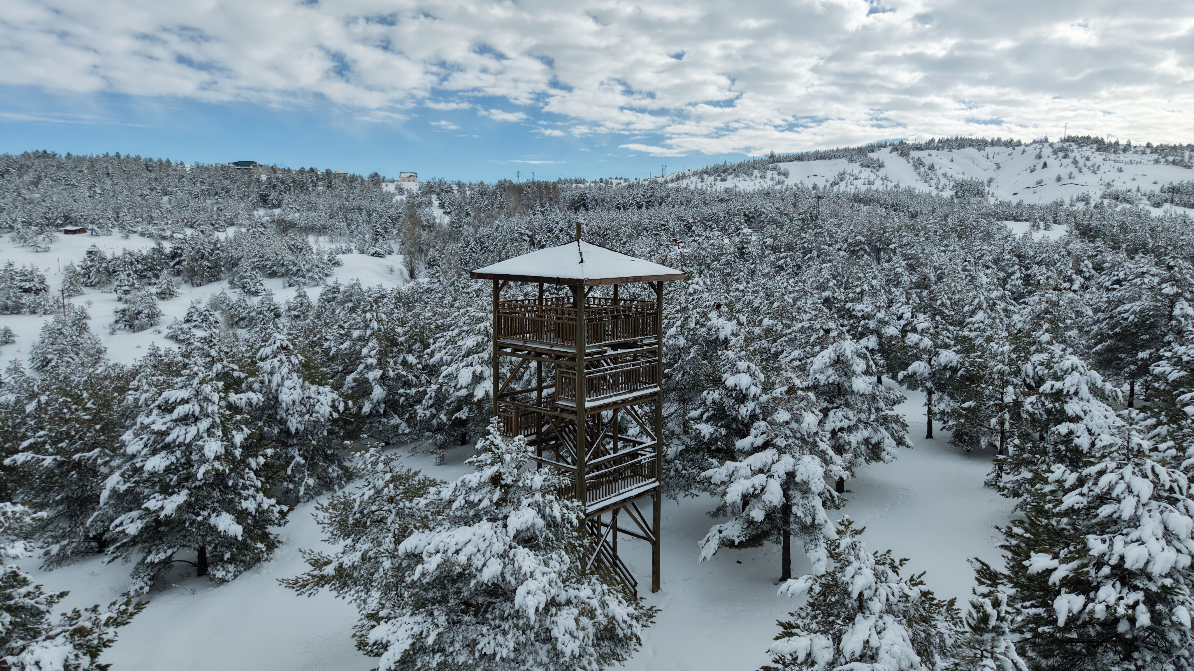 K A R D E S L E R O R M A N I N D A N K A R L I S I V A S M A N Z 1107457 328799