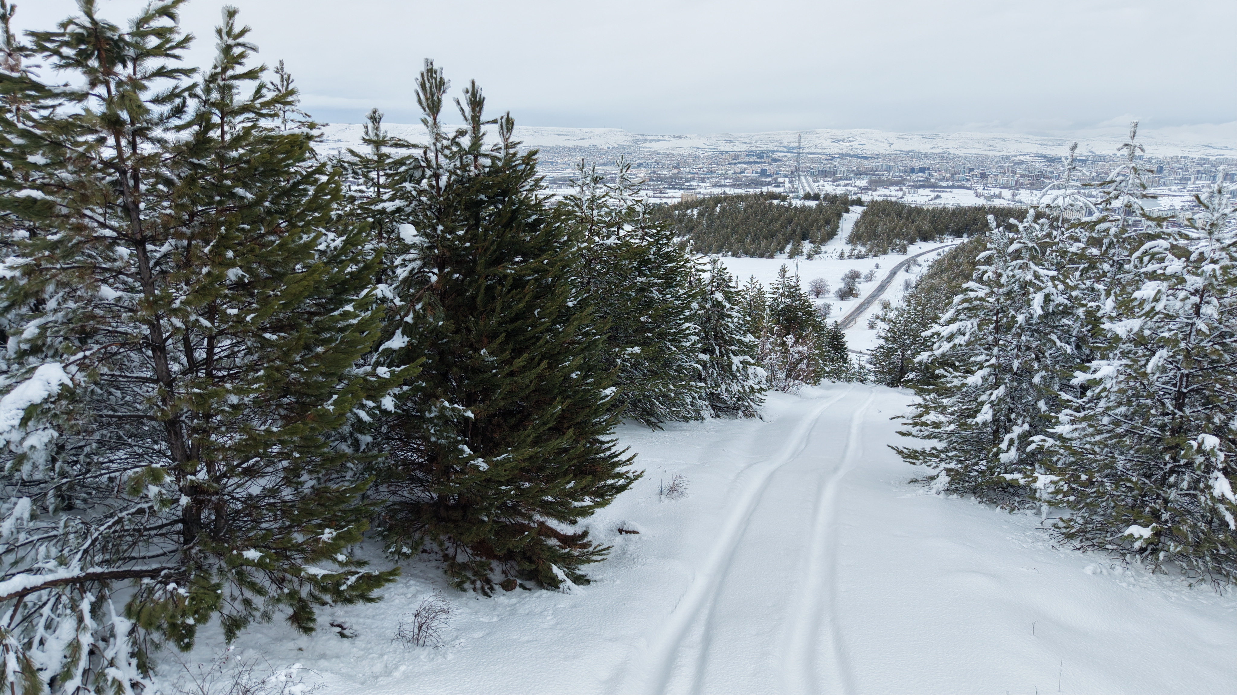 K A R D E S L E R O R M A N I N D A N K A R L I S I V A S M A N Z 1107458 328799