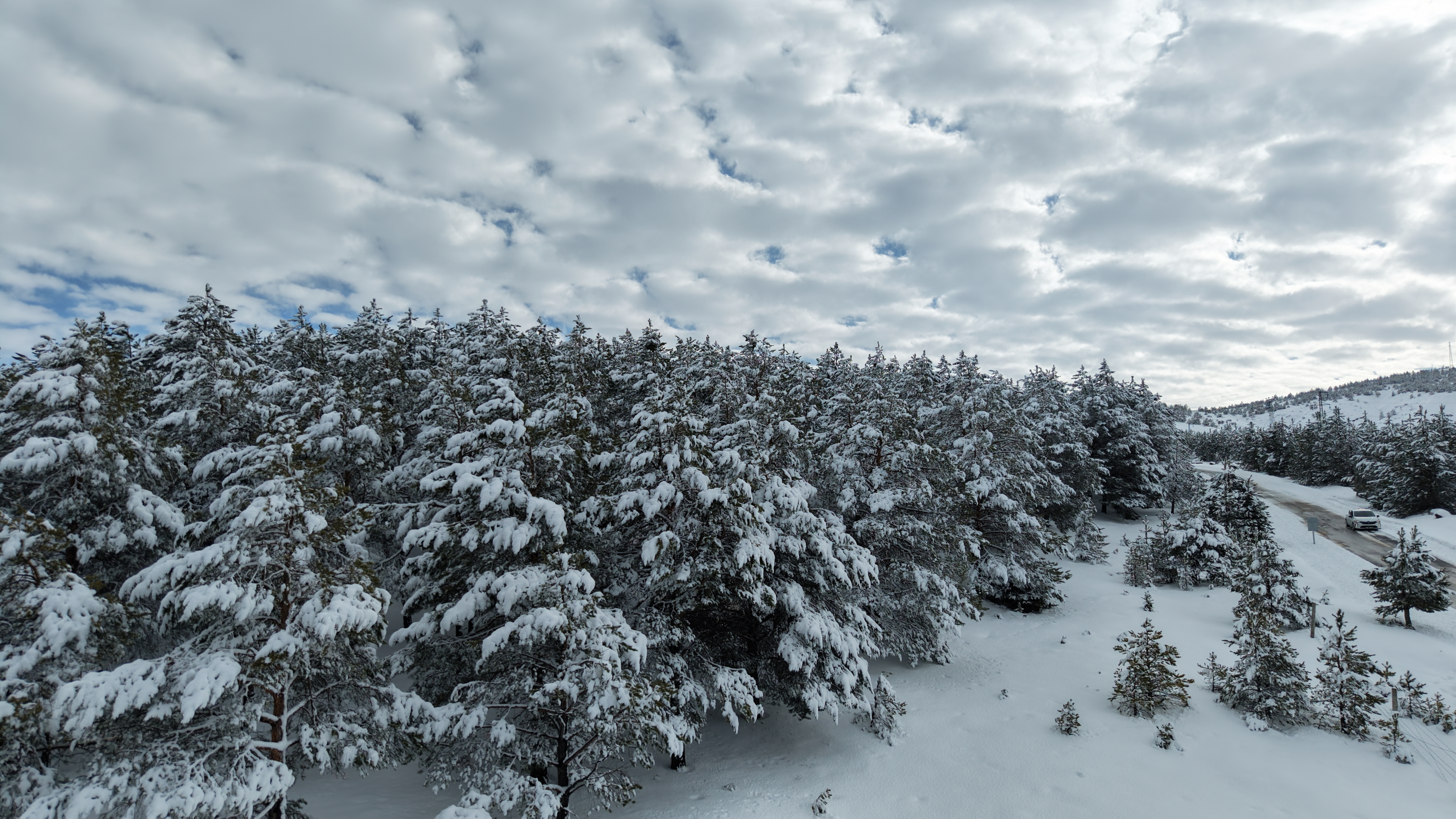 K A R D E S L E R O R M A N I N D A N K A R L I S I V A S M A N Z 1107459 328799