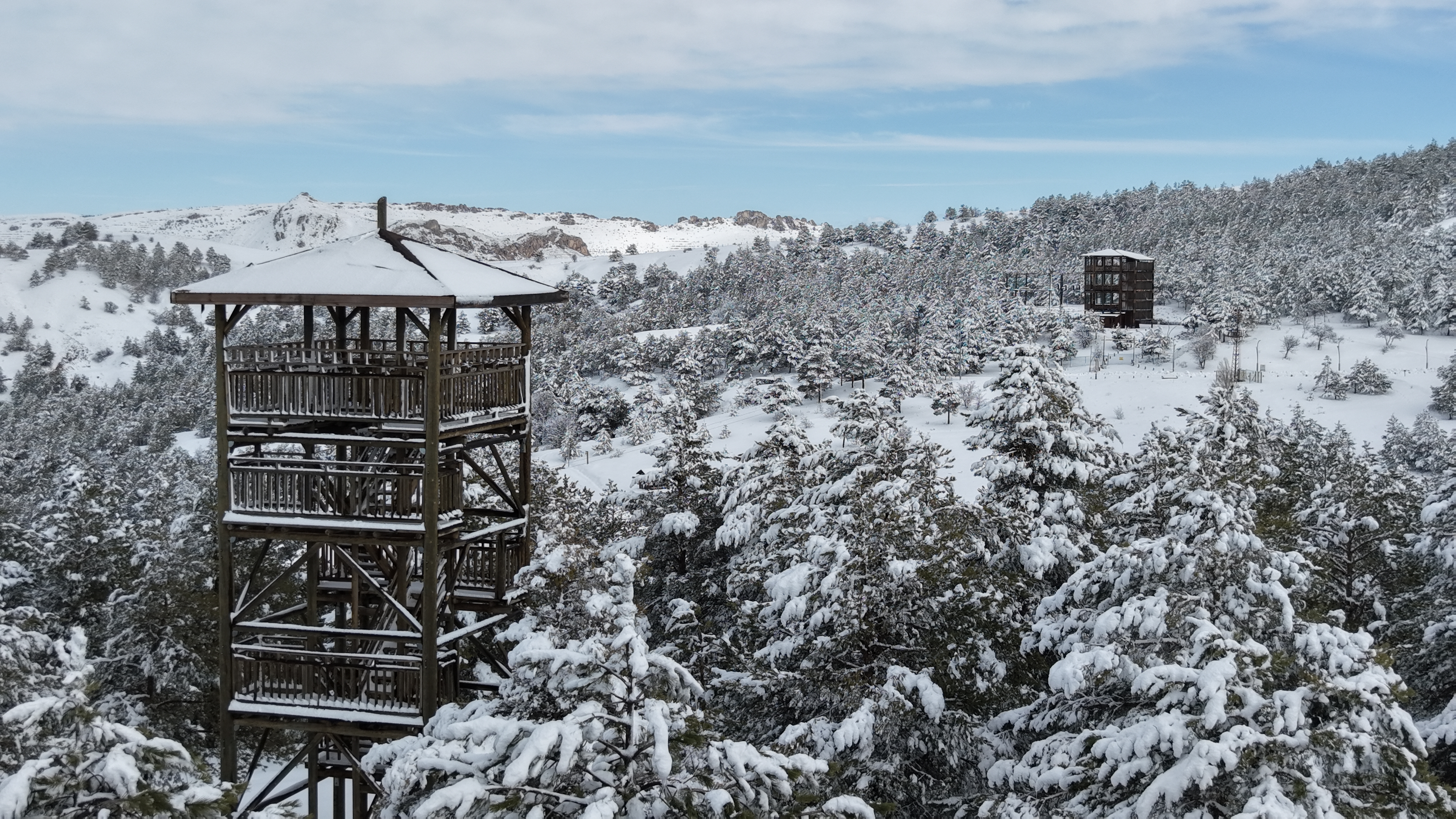 K A R D E S L E R O R M A N I N D A N K A R L I S I V A S M A N Z 1107462 328799