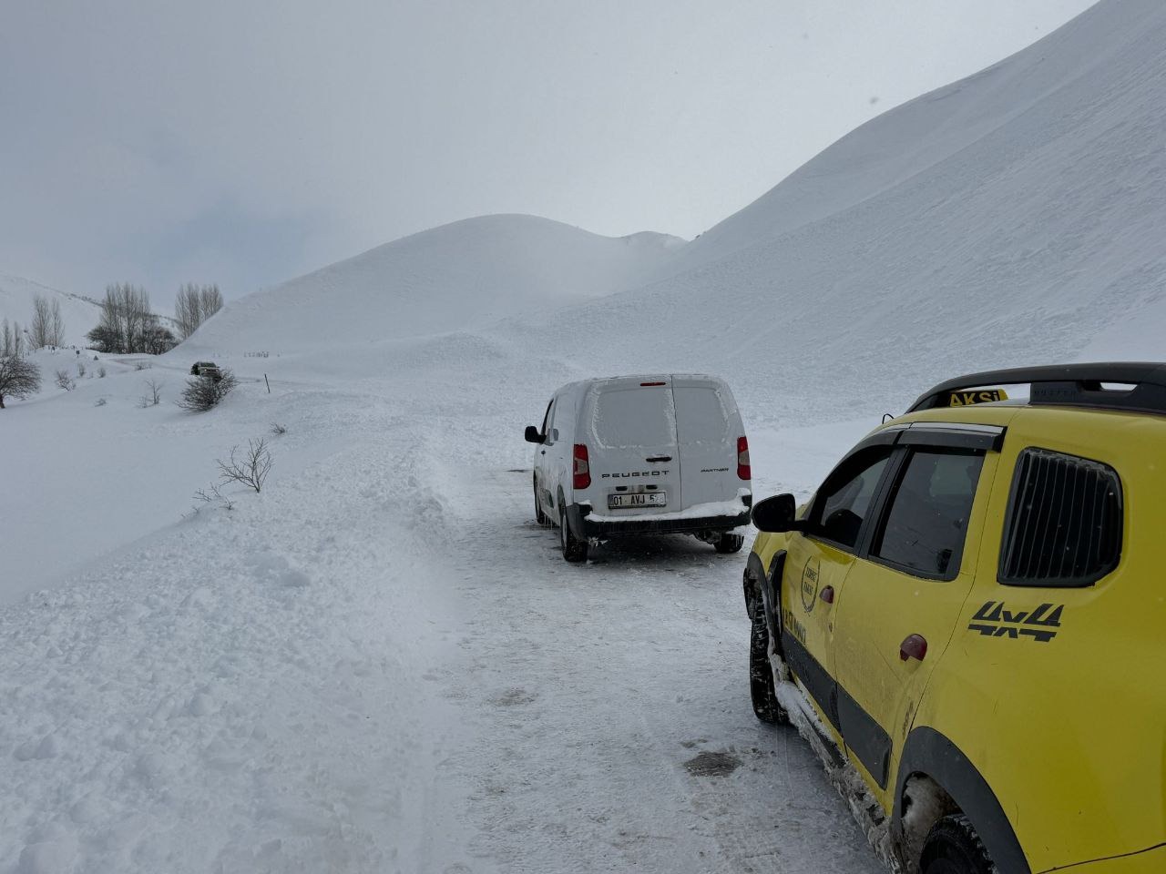 K A R L I O V A’ D A T A B U R C U O L A N A N N E V E B E B E G I 1125961 334146