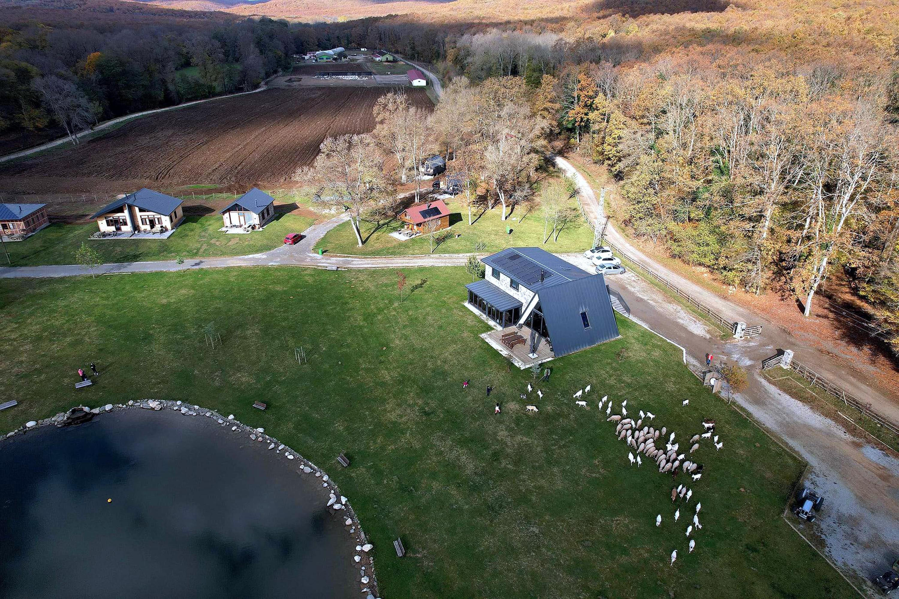 K I R K L A R E L I D E S E L D E 6 K I S I N I N O L U M U N E I L 1126183 334206