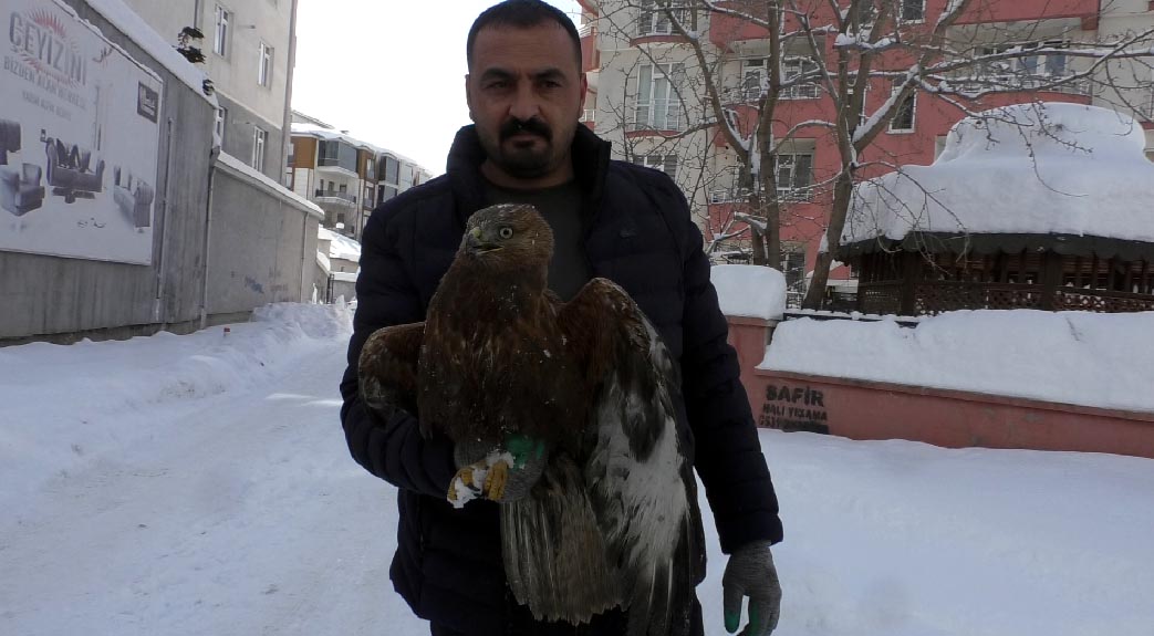 K I Z I L S A H I N I D O N M A K T A N K U R T A R D I L A R 1098608 326090