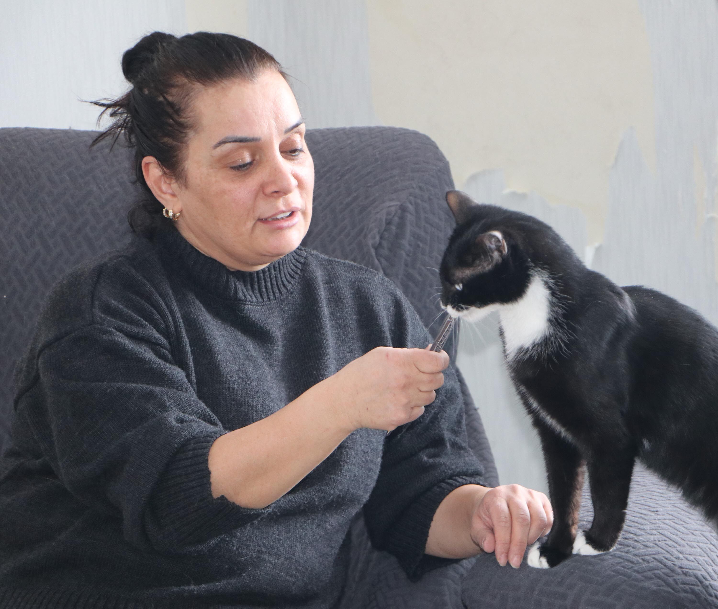 K O R K U S U N U Y E N D I E V I N I S O K A K K E D I L E R I N E 1125739 334092