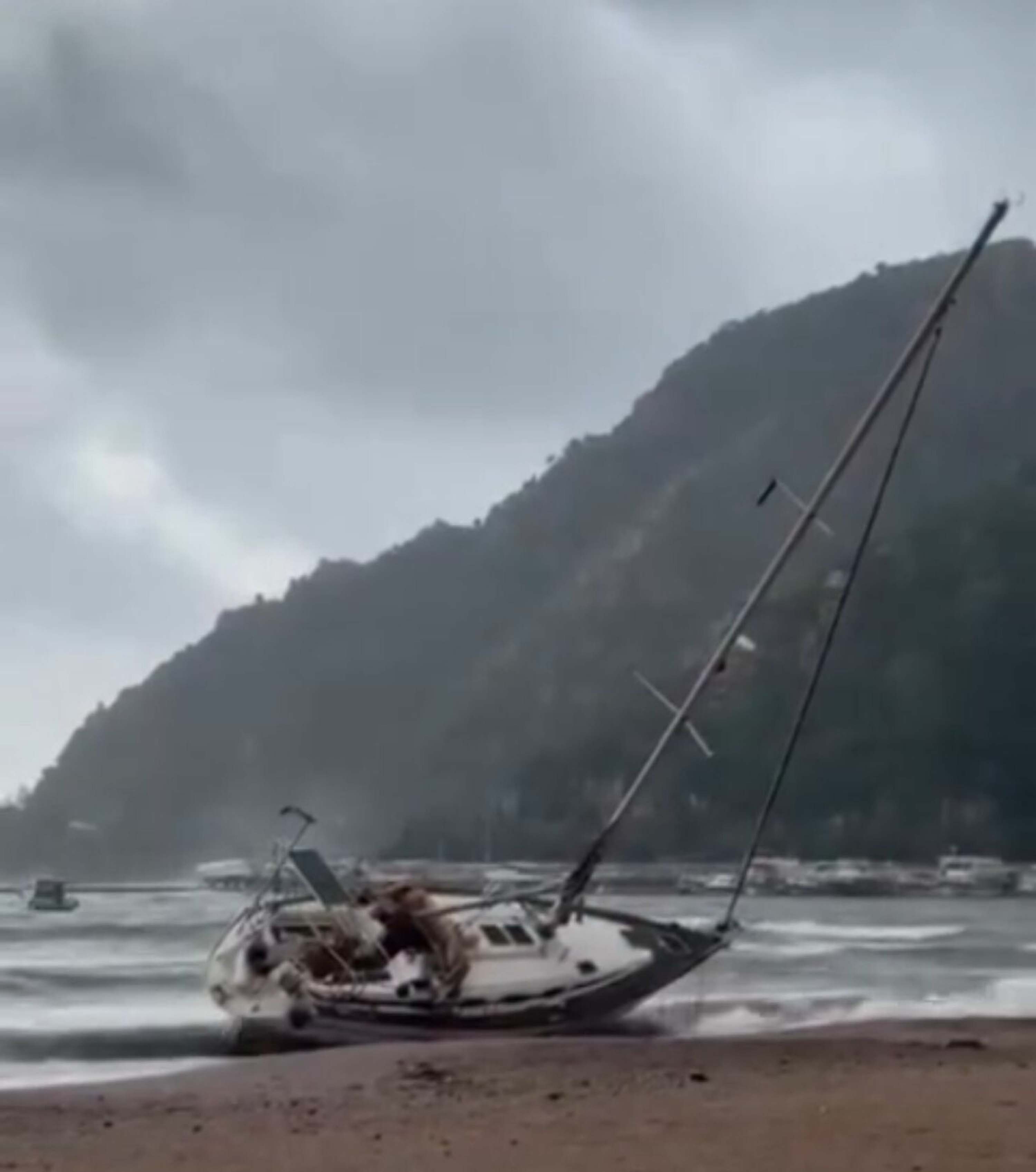 M A R M A R I S’ T E F I R T I N A A G A C L A R D E V R I L D I Y 1135405 337063