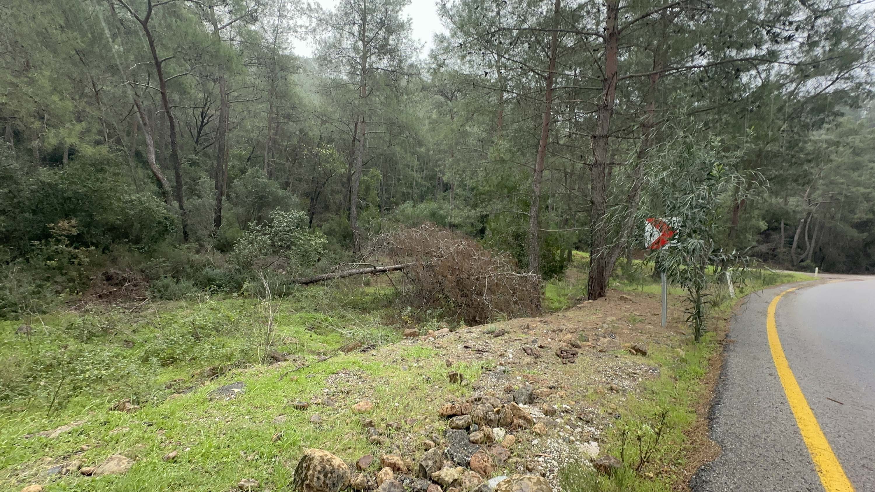 M A R M A R I S’ T E F I R T I N A A G A C L A R D E V R I L D I Y 1135406 337063