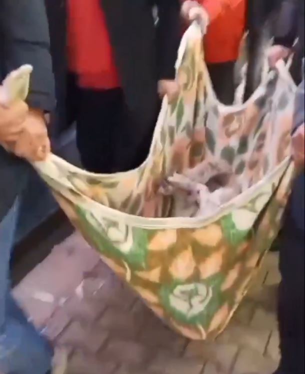 M A T M A Z E L I N D A R B E D I L E R E K O L D U R U L D U G U I D 1098968 326209