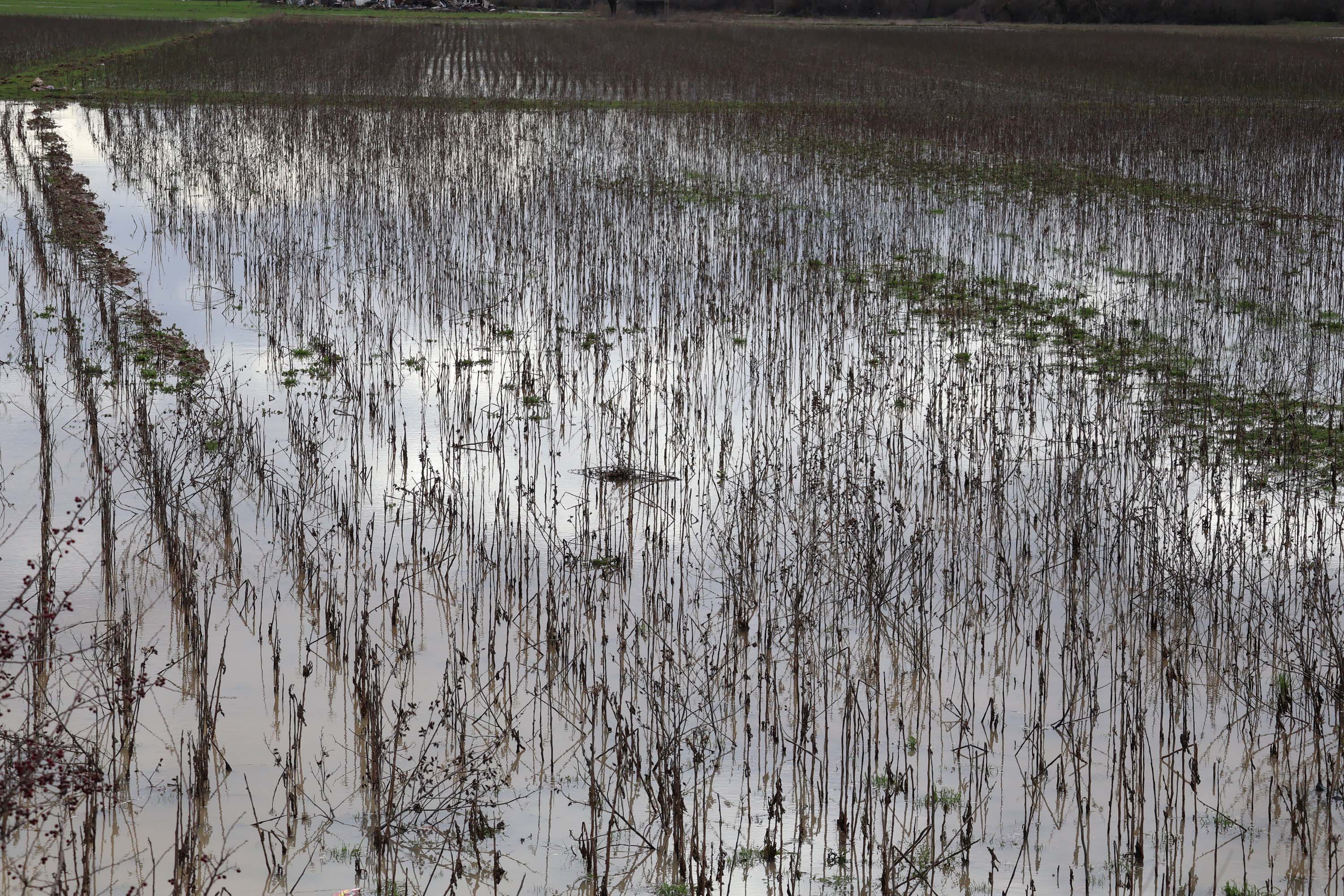 M E N T E S E D E S A G A N A K M E T R E K A R E Y E 2 G U N D E 1140249 338592