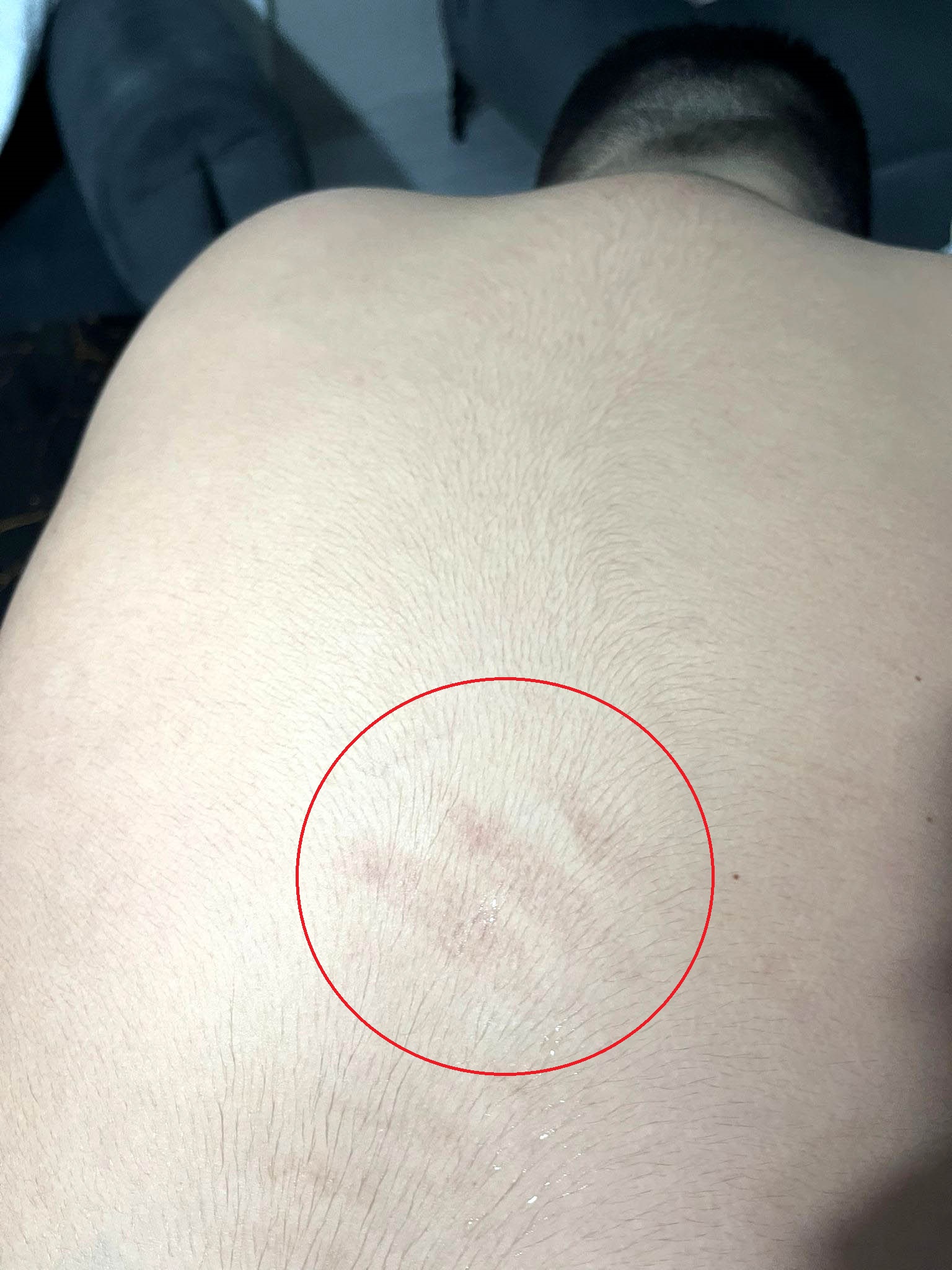 O T I Z M L I O G R E N C I Y E D A R P I D D I A S I N A I N C E L E M 1092327 324208