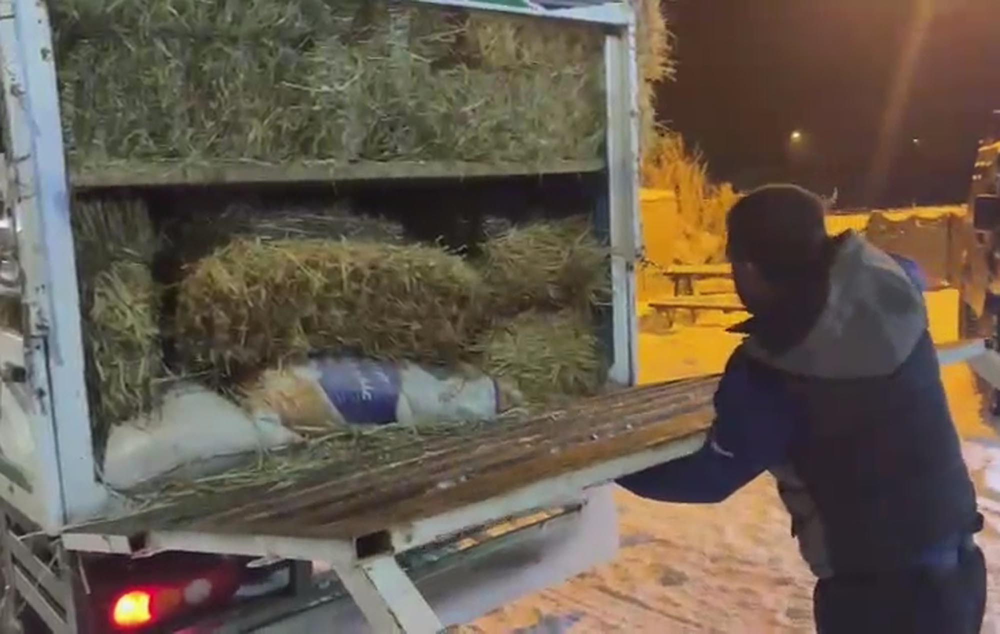 S A M A N B A L Y A L A R I N I N A R A S I N D A 3 K A C A K G O C M 1112470 330229