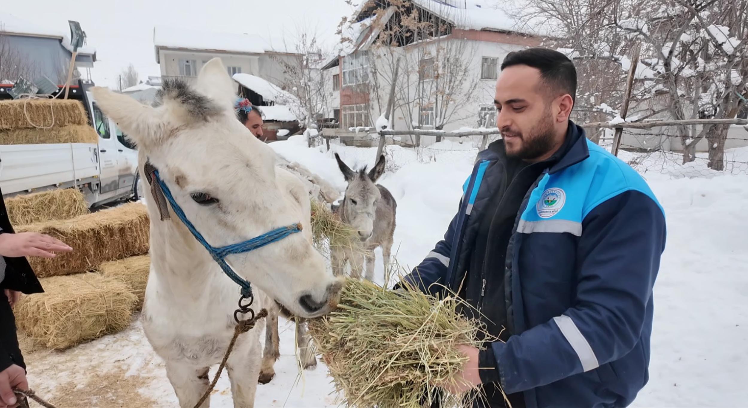 S O K A G A T E R K E D I L E N H A Y V A N L A R A S A H I P C I K A N 1105284 328104