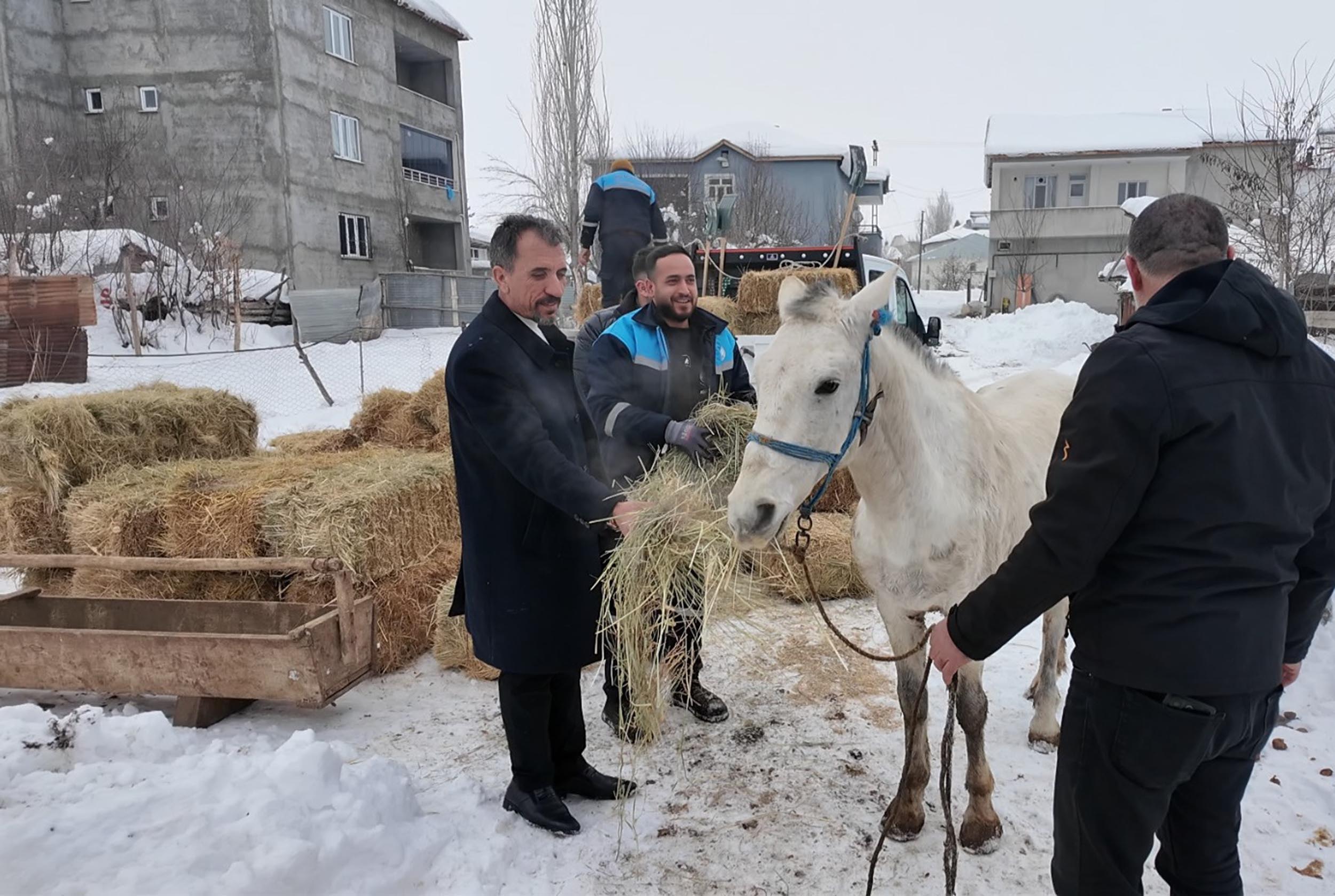 S O K A G A T E R K E D I L E N H A Y V A N L A R A S A H I P C I K A N 1105285 328104