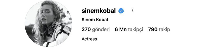 Si̇nem Kobal İç