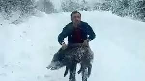 Sinop Domuz Yakalama 1