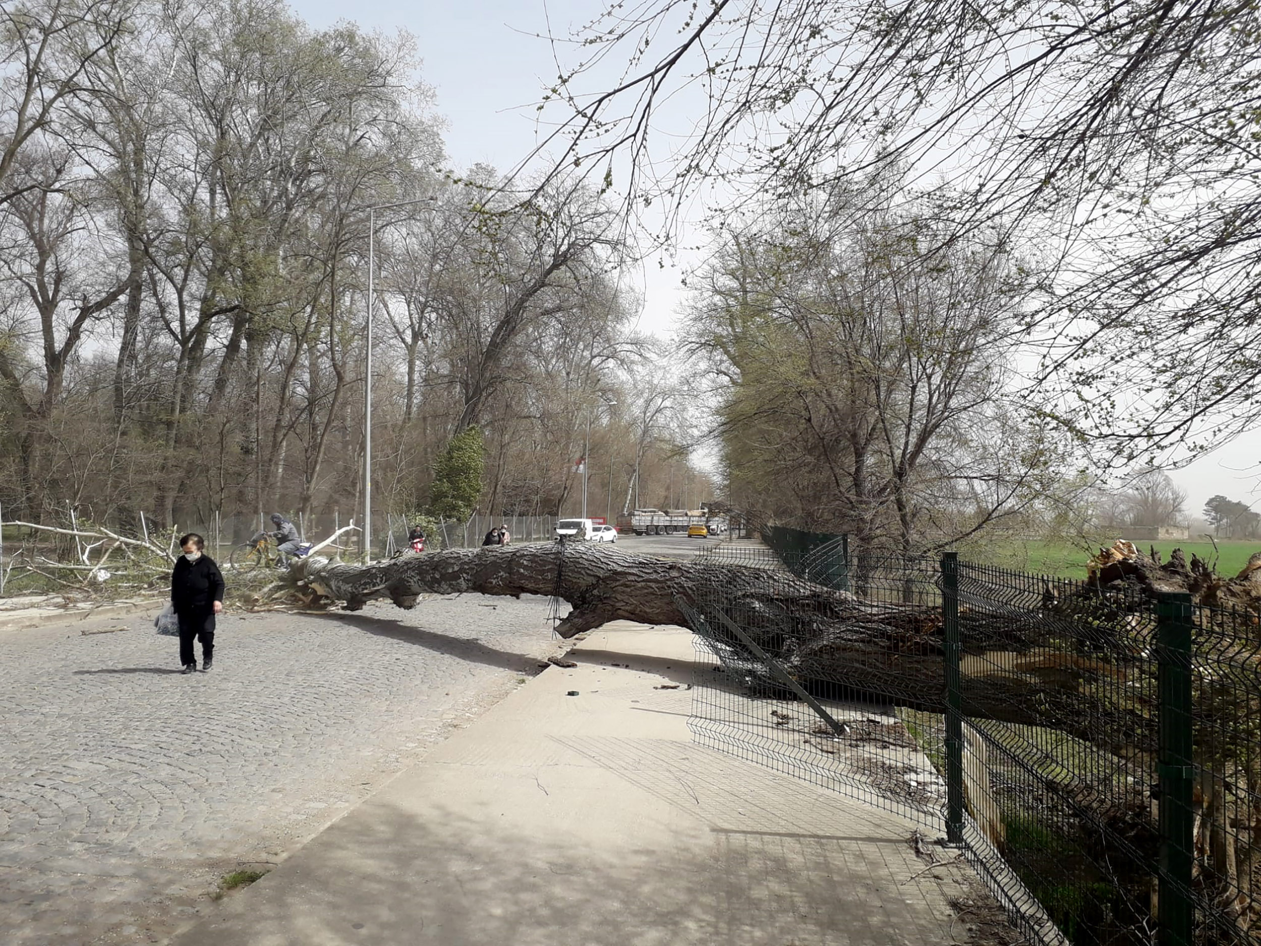 T R A K Y A I C I N K U V V E T L I Y A G I S V E F I R T I N A U Y 1138659 338065