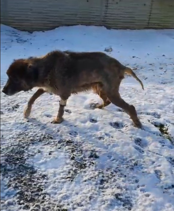 U Z E R I N D E N O T O M O B I L G E C E N K O P E K Y U R U M E Y E 1123602 333428