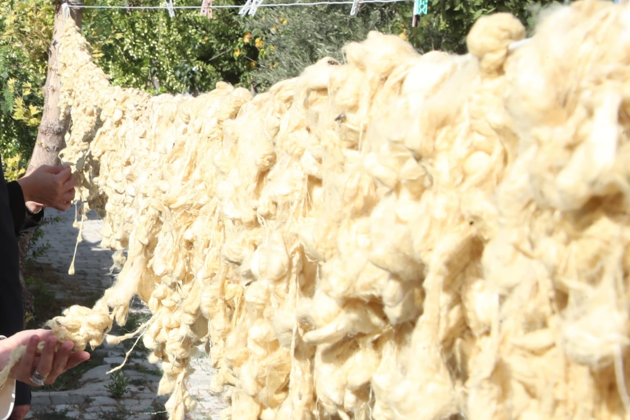 Y A S A Y A N I N S A N H A Z I N E L E R I O D U L U N E L A Y I K 1135267 337019