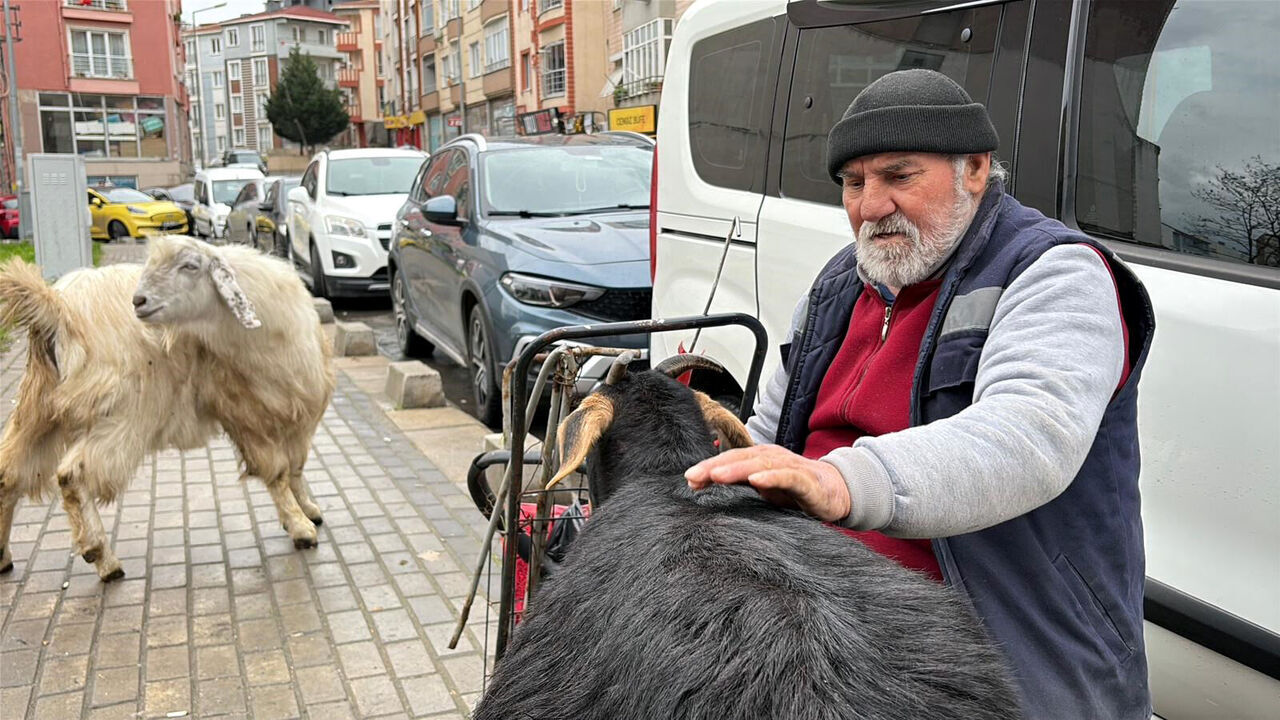 Y U R U Y U S E B E R A B E R C I K T I G I K E C I L E R I I L C E D 1101019 326872