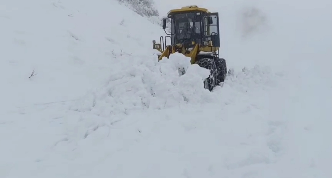 Z O R L U K I S S A R T L A R I N D A Y O L A C I P H A Y A T K U 1097384 325726