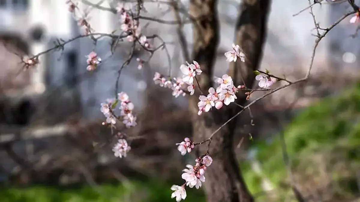 67A49E35Da74Fb6D947C5C70