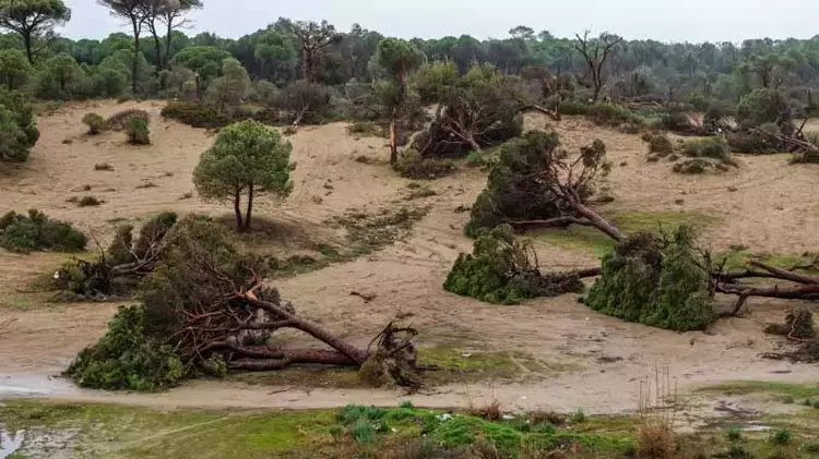 69804645F54A18C0D0F8F1A3