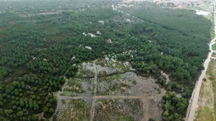 69804645F54A18C0D0F8F1A5