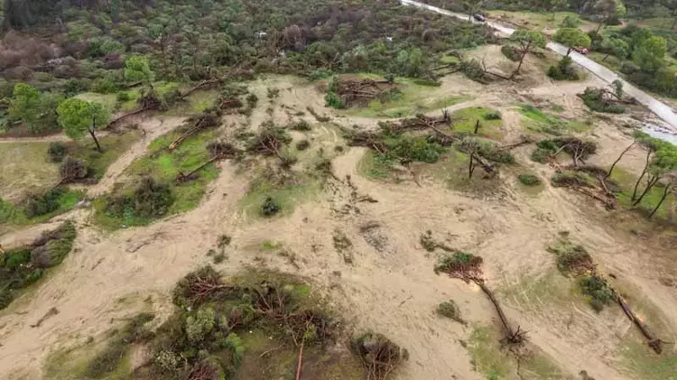 69804646F54A18C0D0F8F1Ab