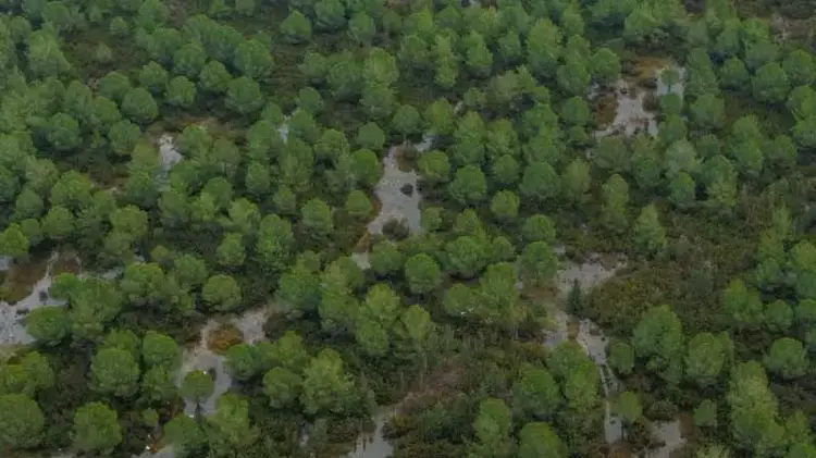 69804646F54A18C0D0F8F1Ad