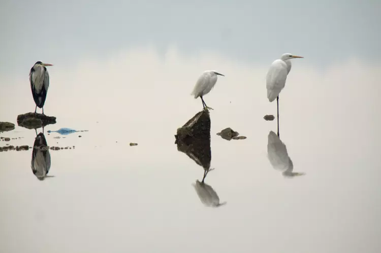 698051126A554F24E687Abd3