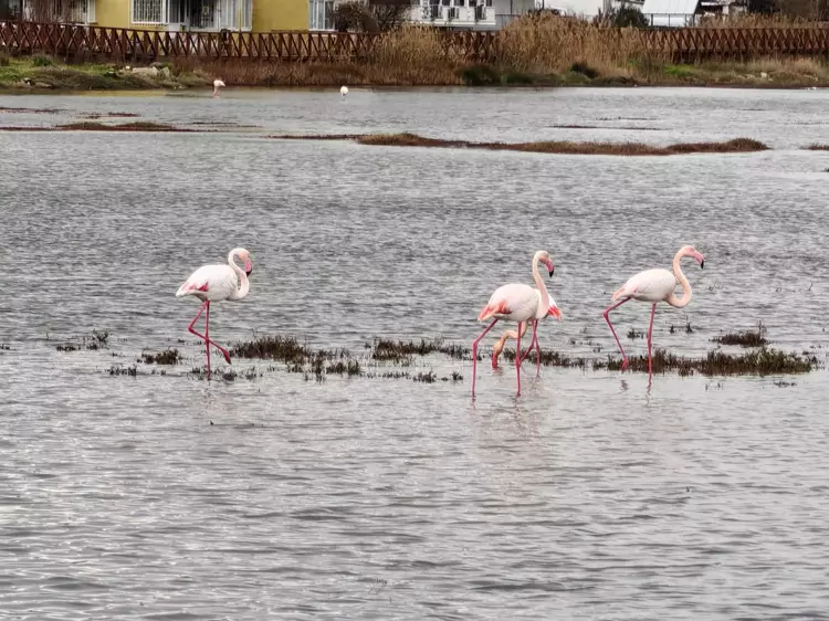 698051126A554F24E687Abdc