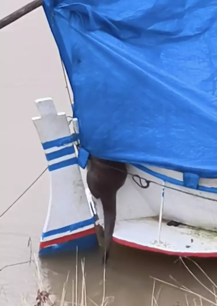 6980529Ff54A18C0D0F8F1E9