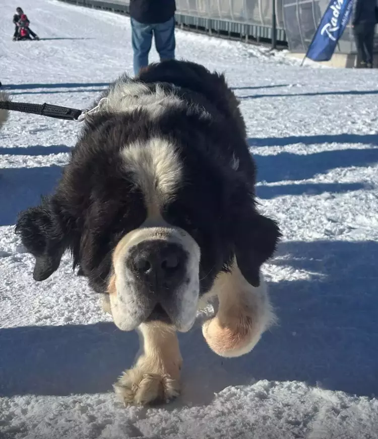 6980530F6A554F24E687Ac01