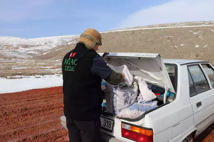 698060596A554F24E687Add1