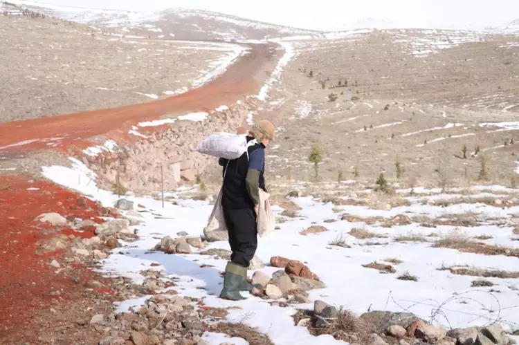 698060596A554F24E687Add4