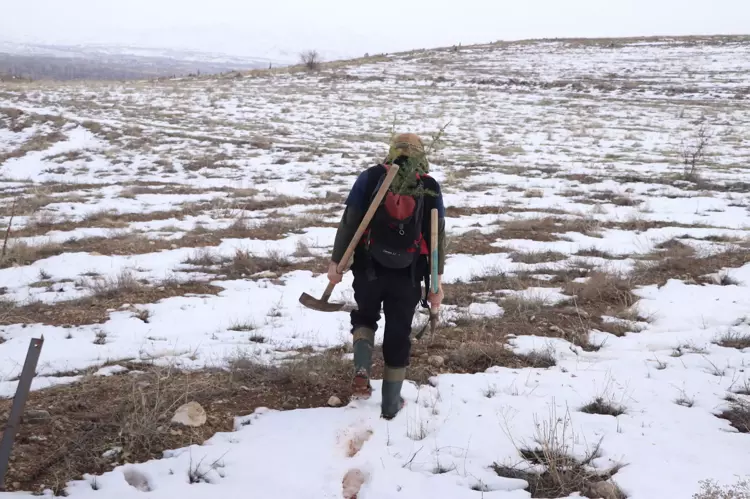 698060596A554F24E687Addd