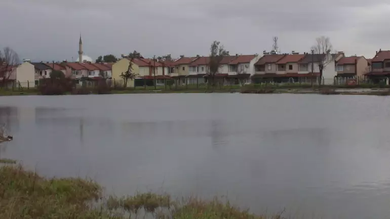 698070796A554F24E687Af5E