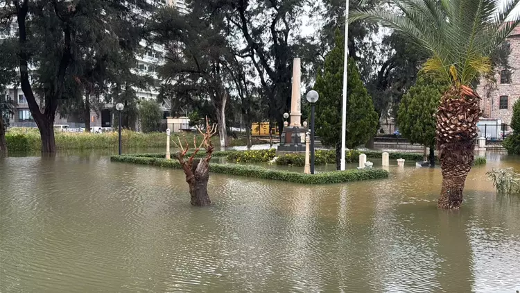 69808F24F54A18C0D0F8F3F5